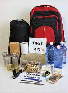 Emergency 2 Person Go/Grab Bag with Rucksack - Jehovah's Witness Theocratic  Ministry Supplies Emergency--GoBags