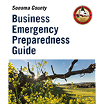 Business Emergency Preparedness Guide